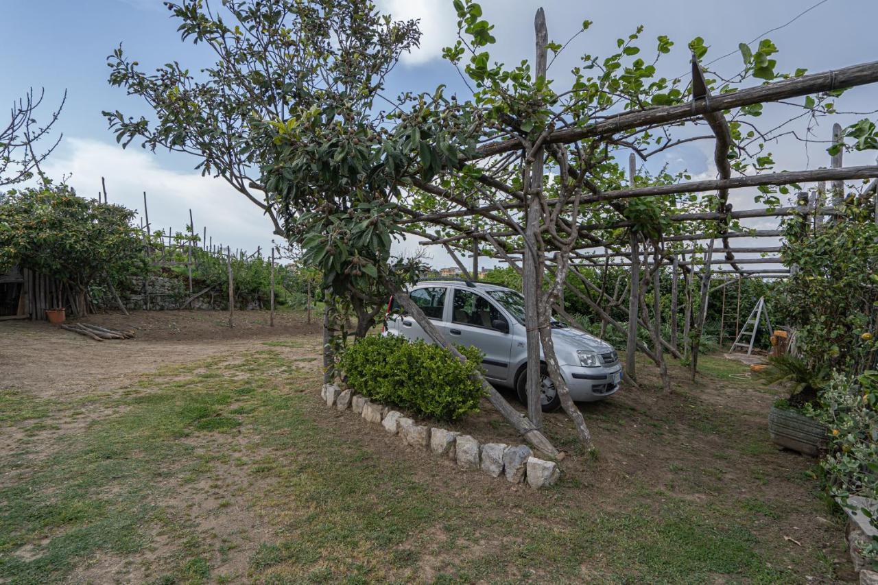 Villa La Pace Sant'Agnello Exterior foto